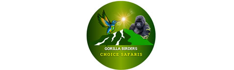 Gorilla Birders Choice Safaris