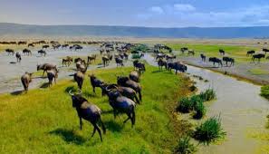 NGORONGORO CONSERVATION AREA