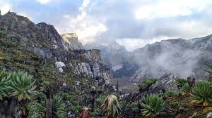 THE RWENZORI MOUNTAINS